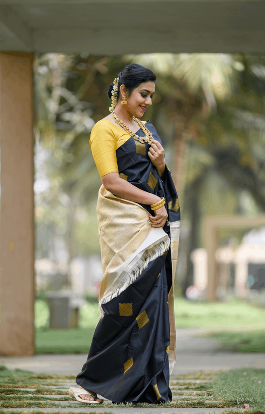 Black Kanjivaram Silk Saree