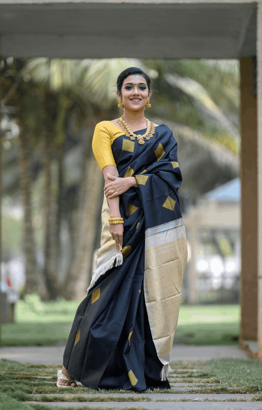 Black Kanjivaram Silk Saree