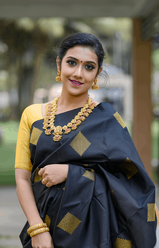 Black Kanjivaram Silk Saree