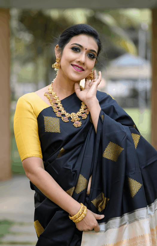 Black Kanjivaram Silk Saree