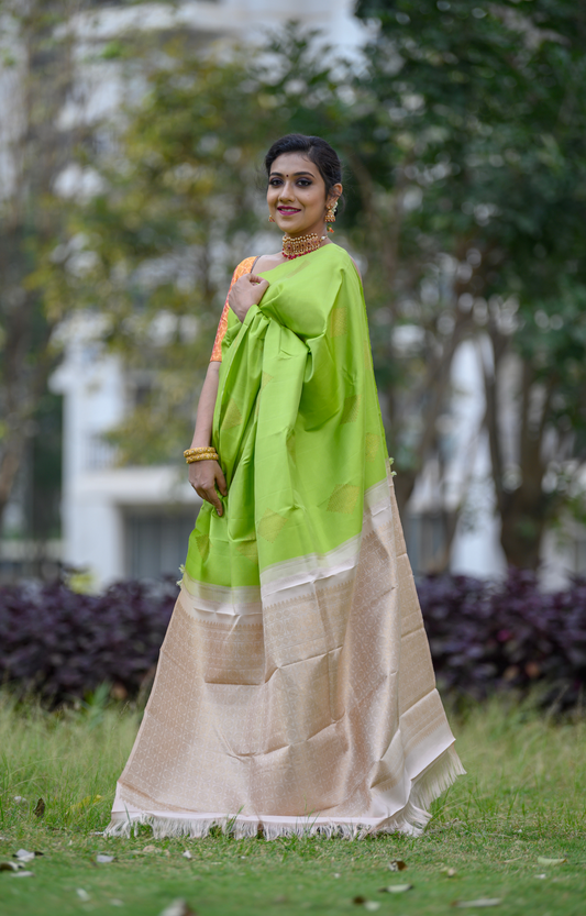 Borderless Leaf Green with Kolam Buttas in Gold Zari Kanchipuram Silk Saree