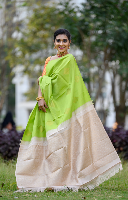 Borderless Leaf Green with Kolam Buttas in Gold Zari Kanchipuram Silk Saree